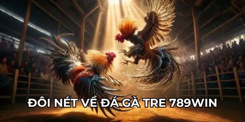 Đôi nét về đá gà tre 789Win