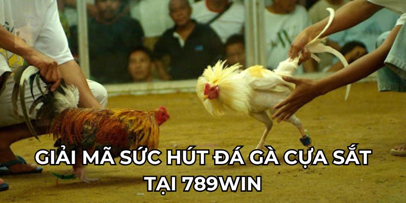 Giải mã sức hút đá gà cựa sắt tại 789win