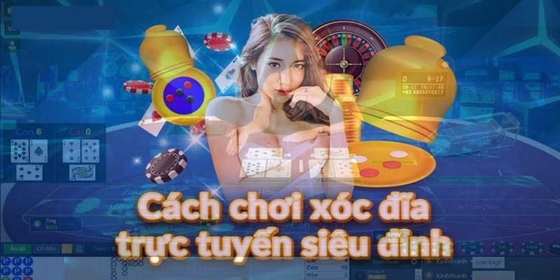 Các phương án cá cược phổ biến, được quan tâm hàng đầu trong xóc đĩa