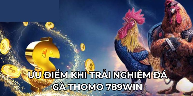 Ưu điểm khi trải nghiệm đá gà Thomo 789Win